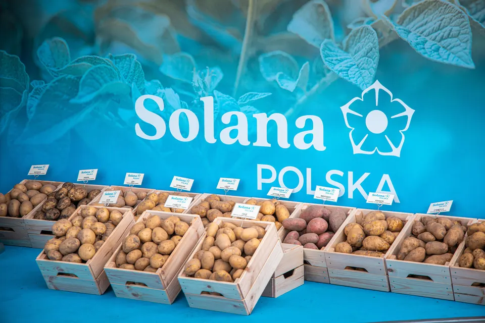 Pokazy maszyn na polu — kombajny w pracy